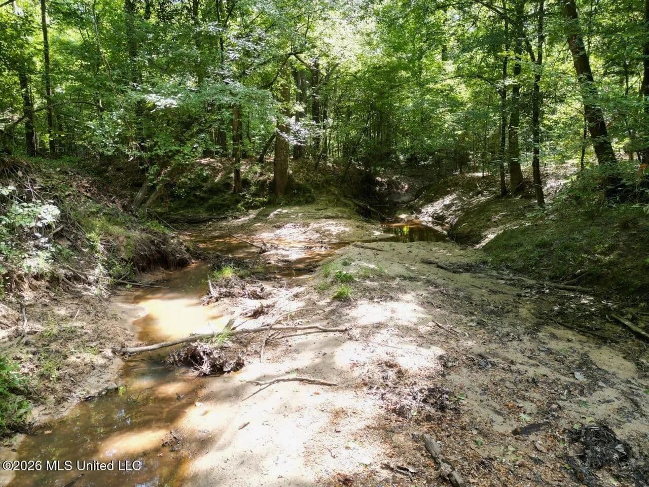 45± Acres in Aimwell, LA with Ford Creek Frontage - Harrisonburg, Louisiana, 71340