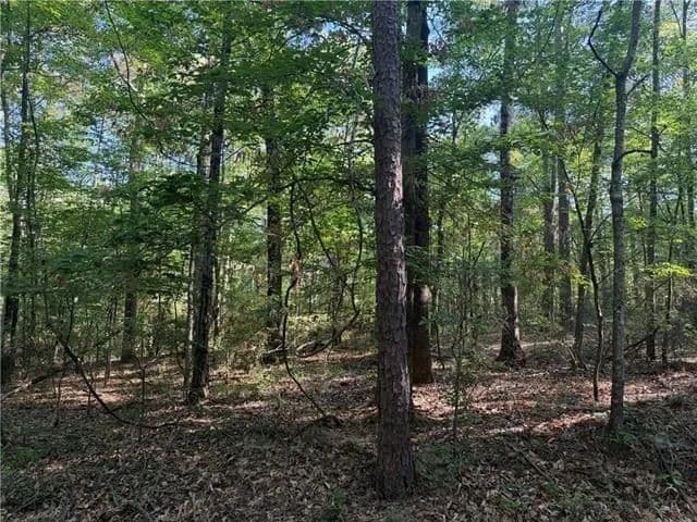Hunting Property with Hwy and Creek Frontage - Olla, Louisiana, 71435