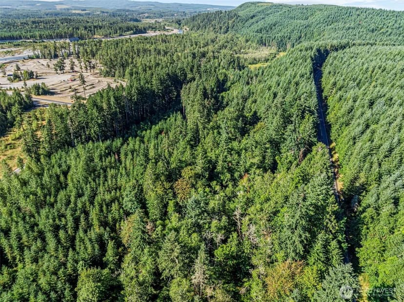 Vacant Land in Toutle