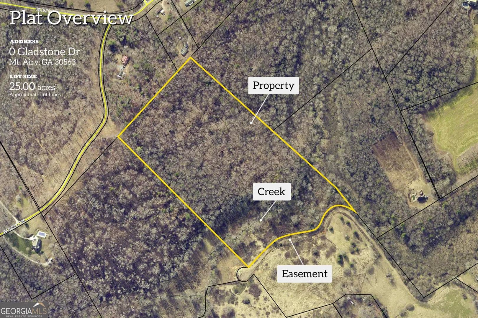 25 Acres of Land for Sale in Mount Airy, GA - Mount Airy, Georgia, 30563