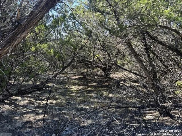 Vacant Land in Pipe Creek - Pipe Creek, Texas, 78063