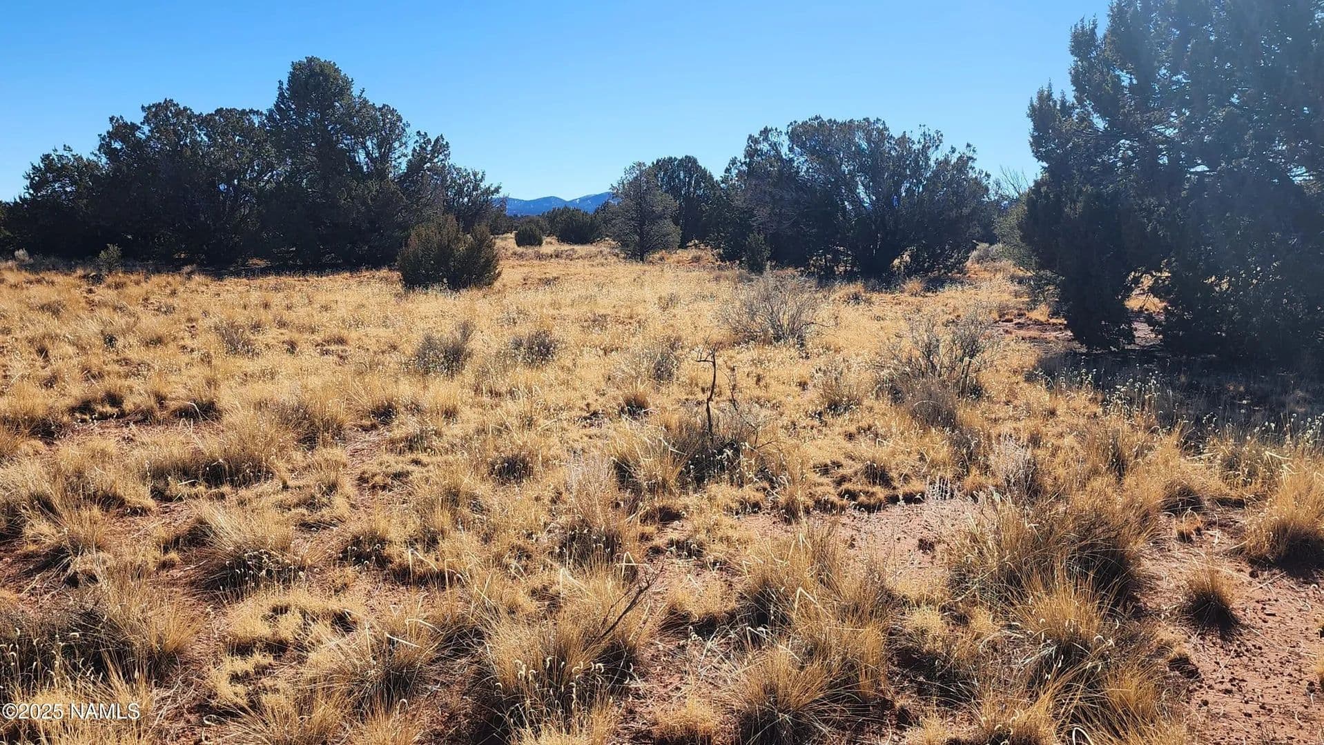 Vacant Land (10+ Acres) in Williams - Williams, Arizona, 86046