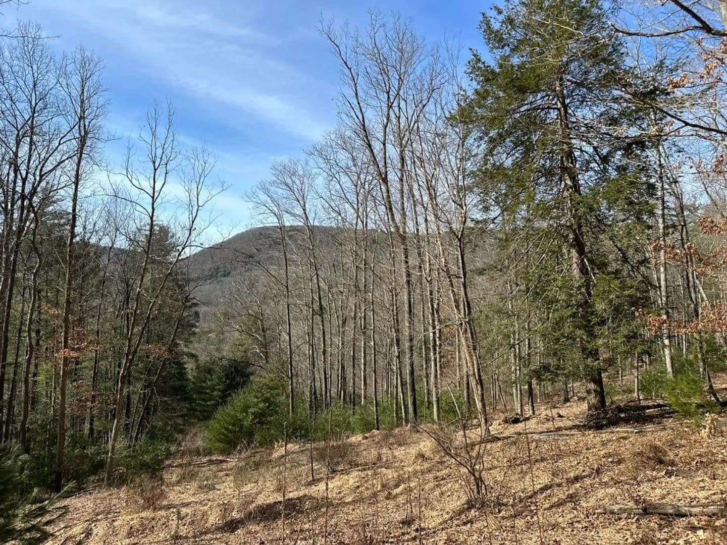 Incredible Investment Opportunity in the Heart of Elk Country - Benezette, Pennsylvania, 15821