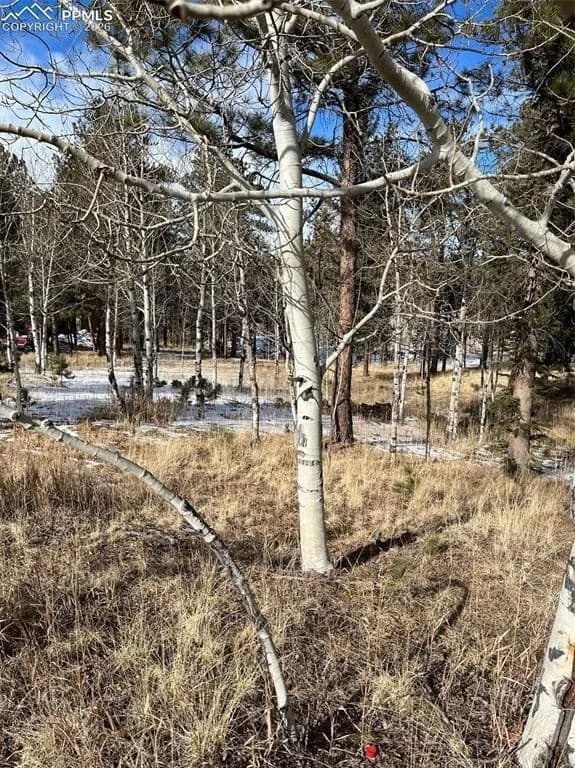 Lots & Land-Other in Woodland Park