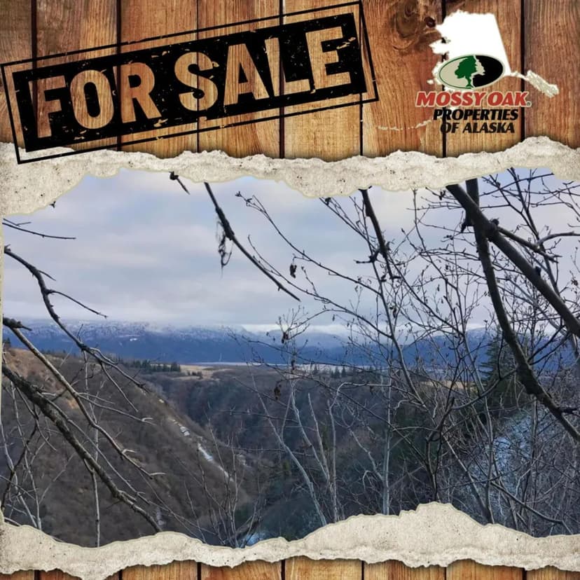 Remote 5 acres