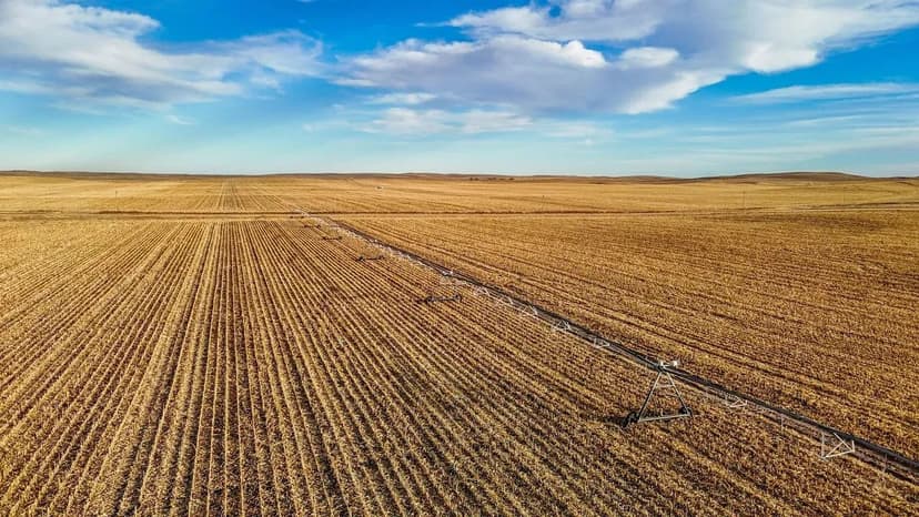 Dirks Irrigated/Dryland/Pasture Land Auction (Tract #8)