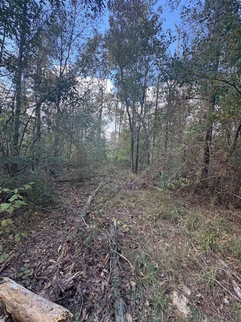 Righthand Creek Tract, Allen Parish, 44 Acres ≠