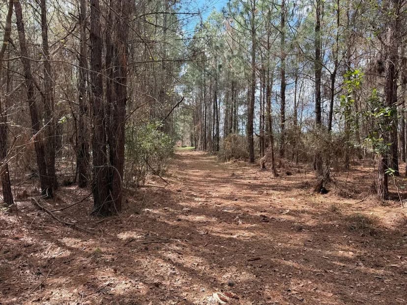 12.19 in Southwest Pierce County