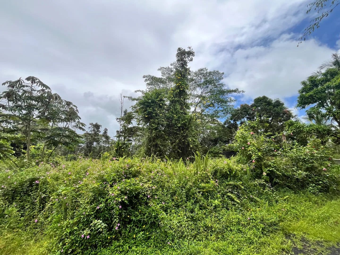 0.18 Acres of Land for Sale in Pahoa, Hawaii - Pahoa, Hawaii, 96778