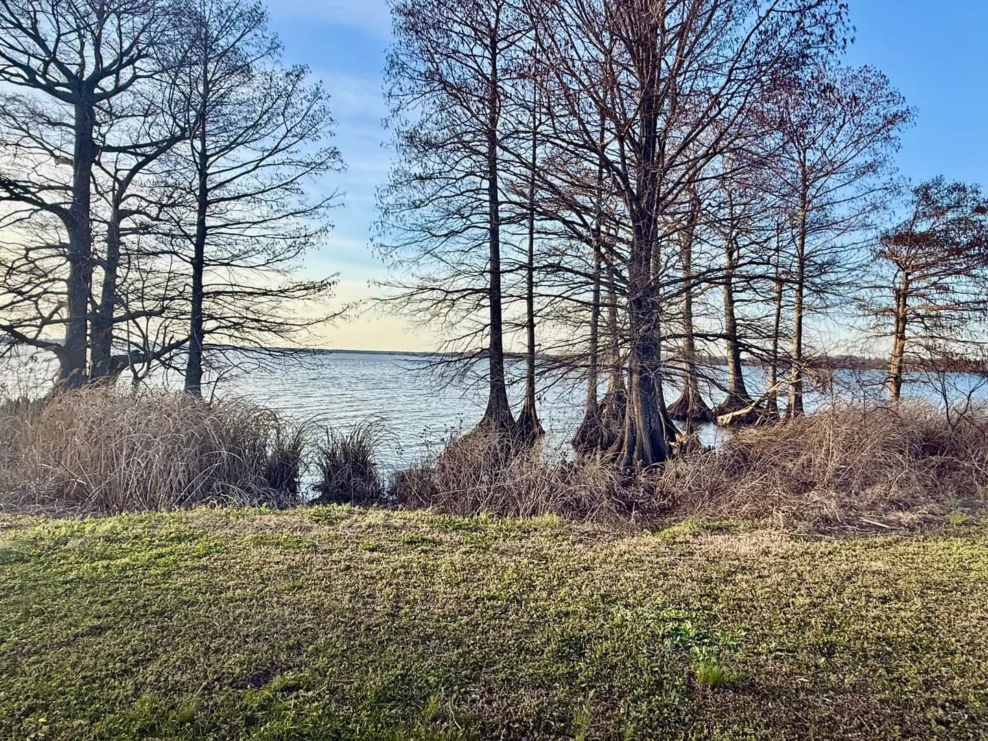 Vacant Land in Hornbeak - Hornbeak, Tennessee, 38232