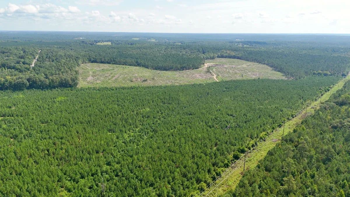 Saddle Soap Farm - land for sale