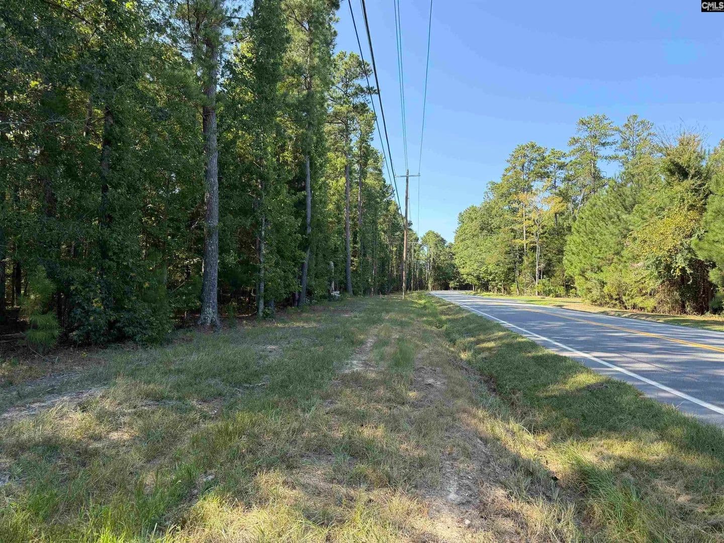 Vacant Land in Chapin - Chapin, South Carolina, 29036
