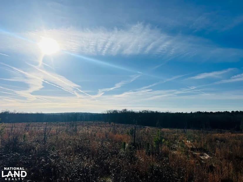 Creekside Longleaf Hunting Property
