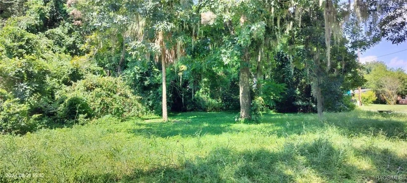 Lots & Land-Other in Inverness - Inverness, Florida, 34450