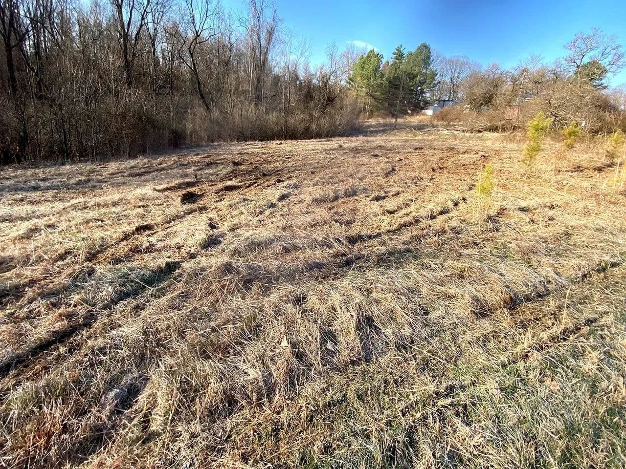 Twp Rd 318 - 7 acres - Dexter City, Ohio, 45727