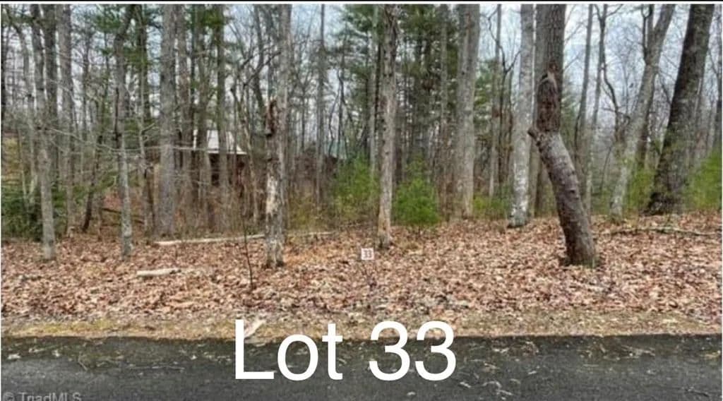 Vacant Land in Stuart - Stuart, Virginia, 24171