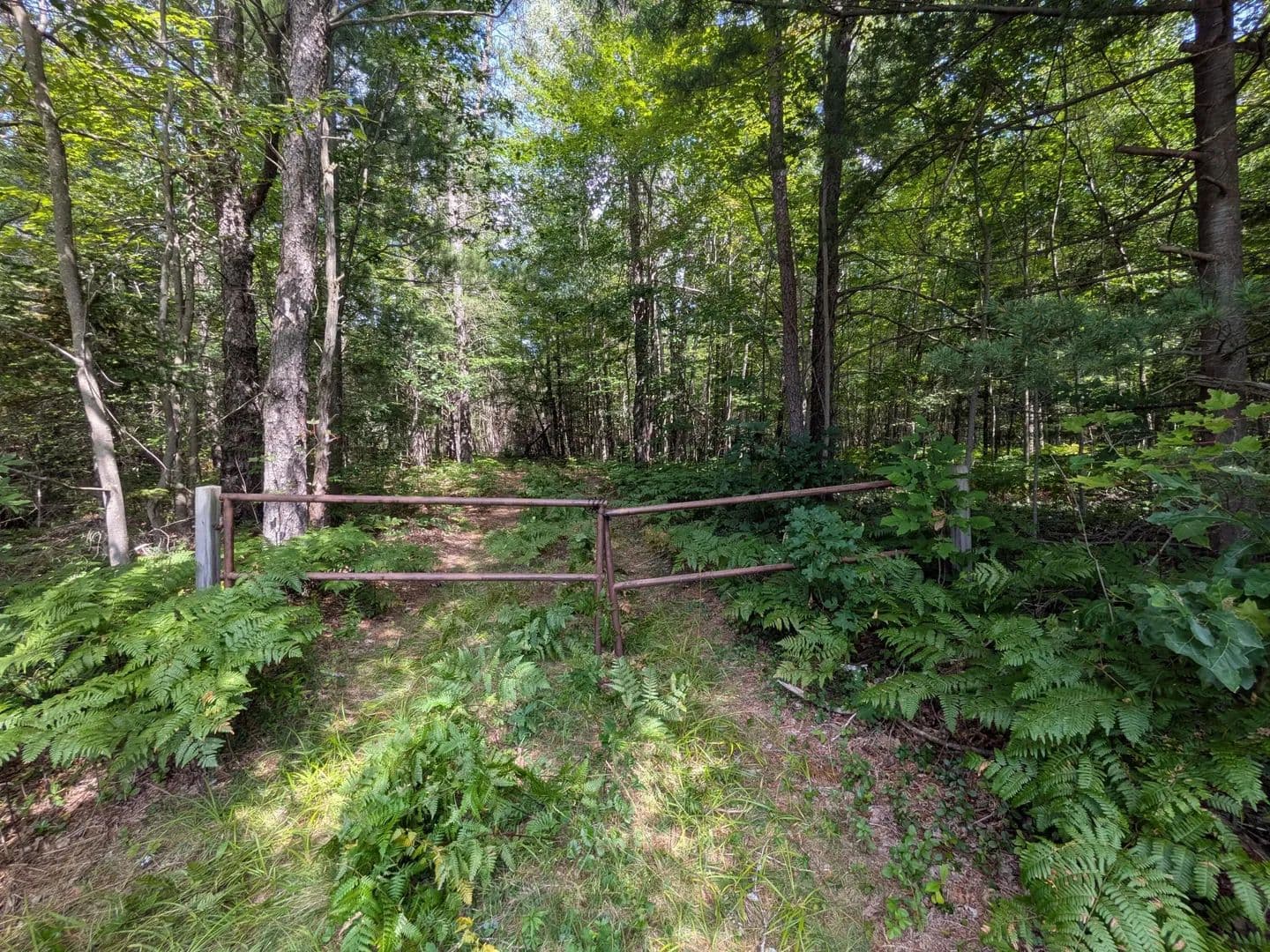 Lots & Land-Other in Alger - Alger, Michigan, 48610