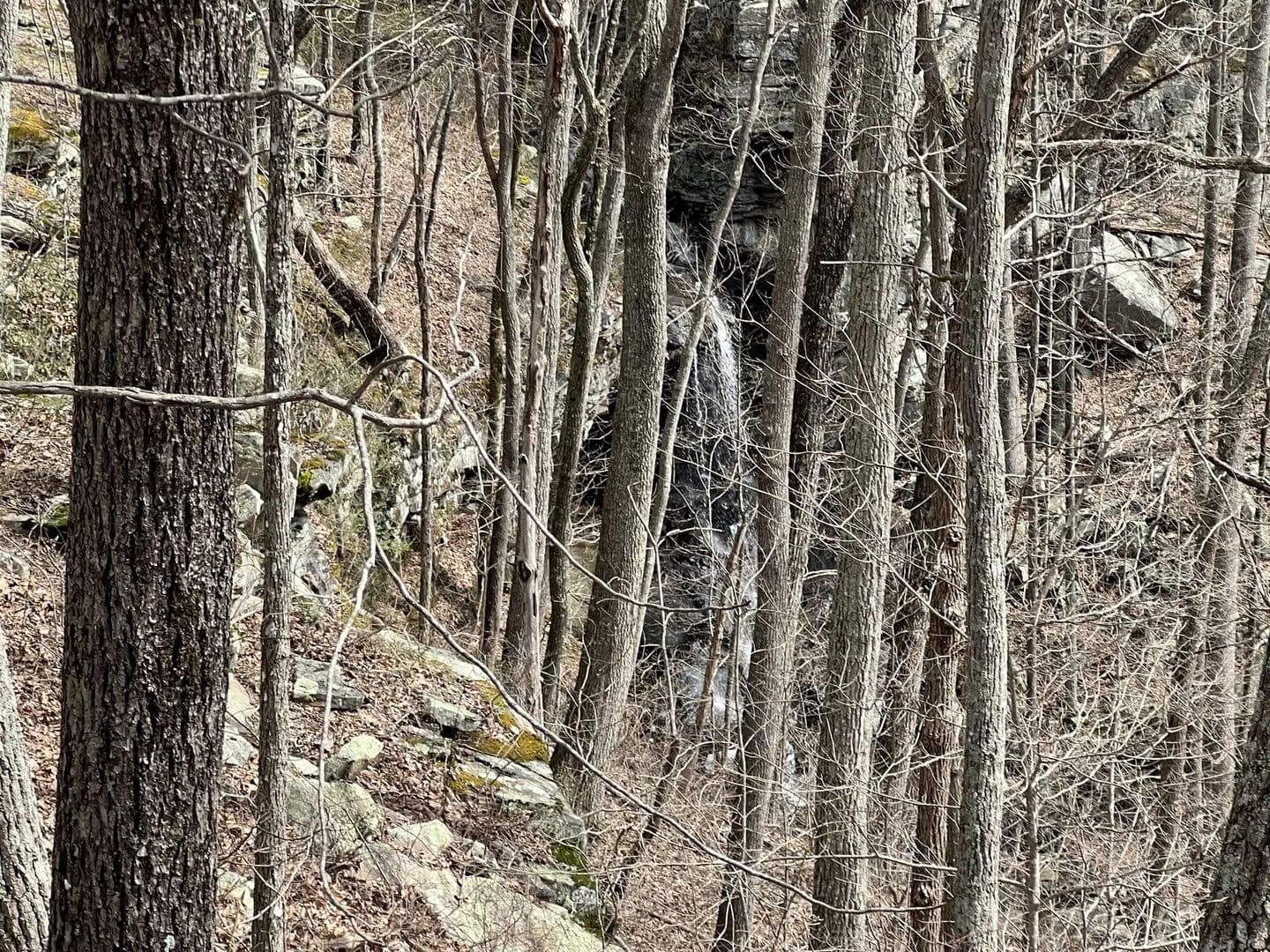 Lots & Land-Other in Altamont - Altamont, Tennessee, 37301