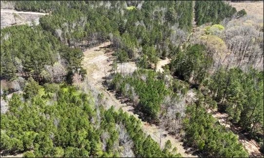 20 Acres in Choctaw County in McCool, MS