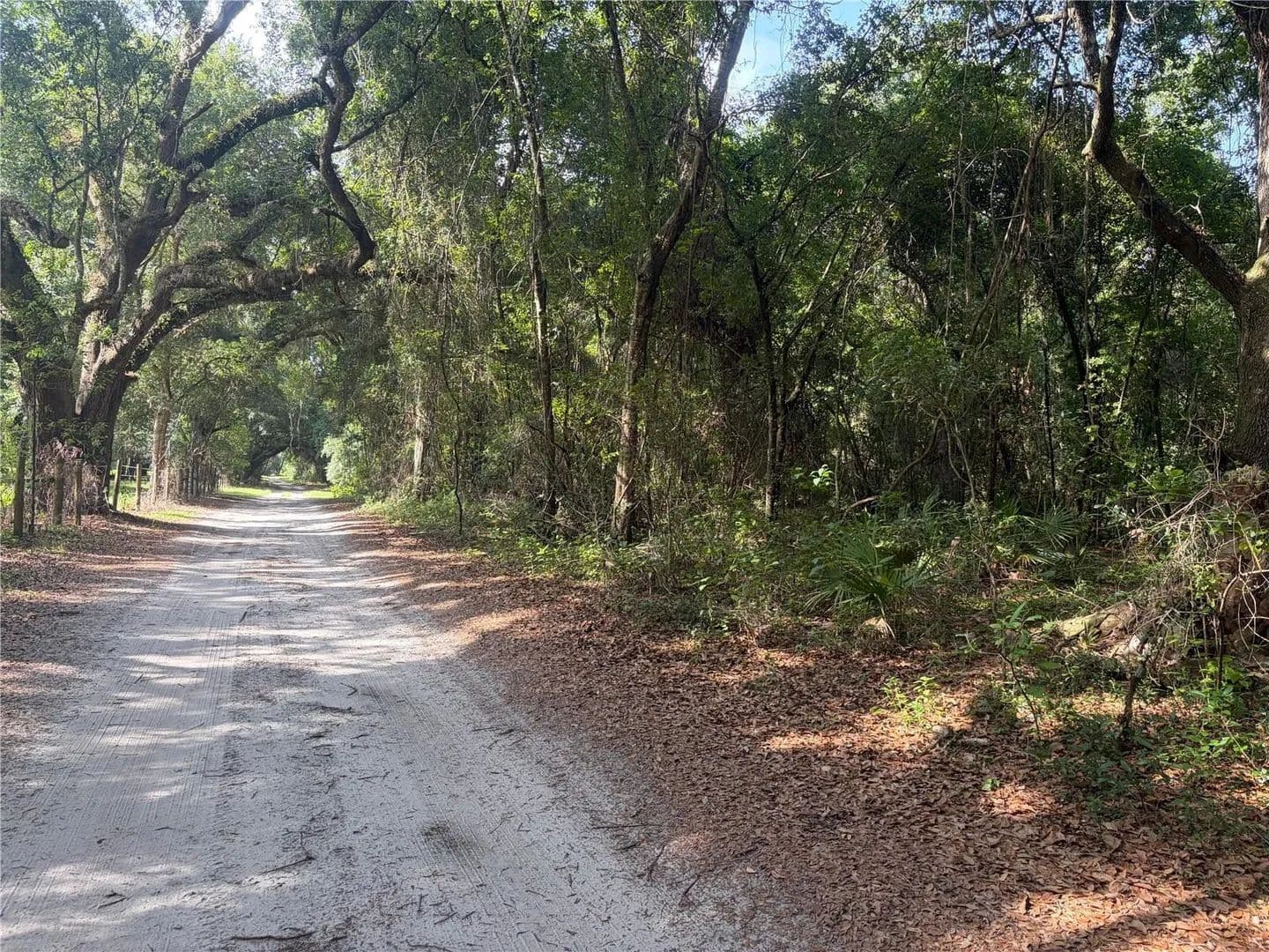 Vacant Land (10+ Acres) in Webster - Webster, Florida, 33597