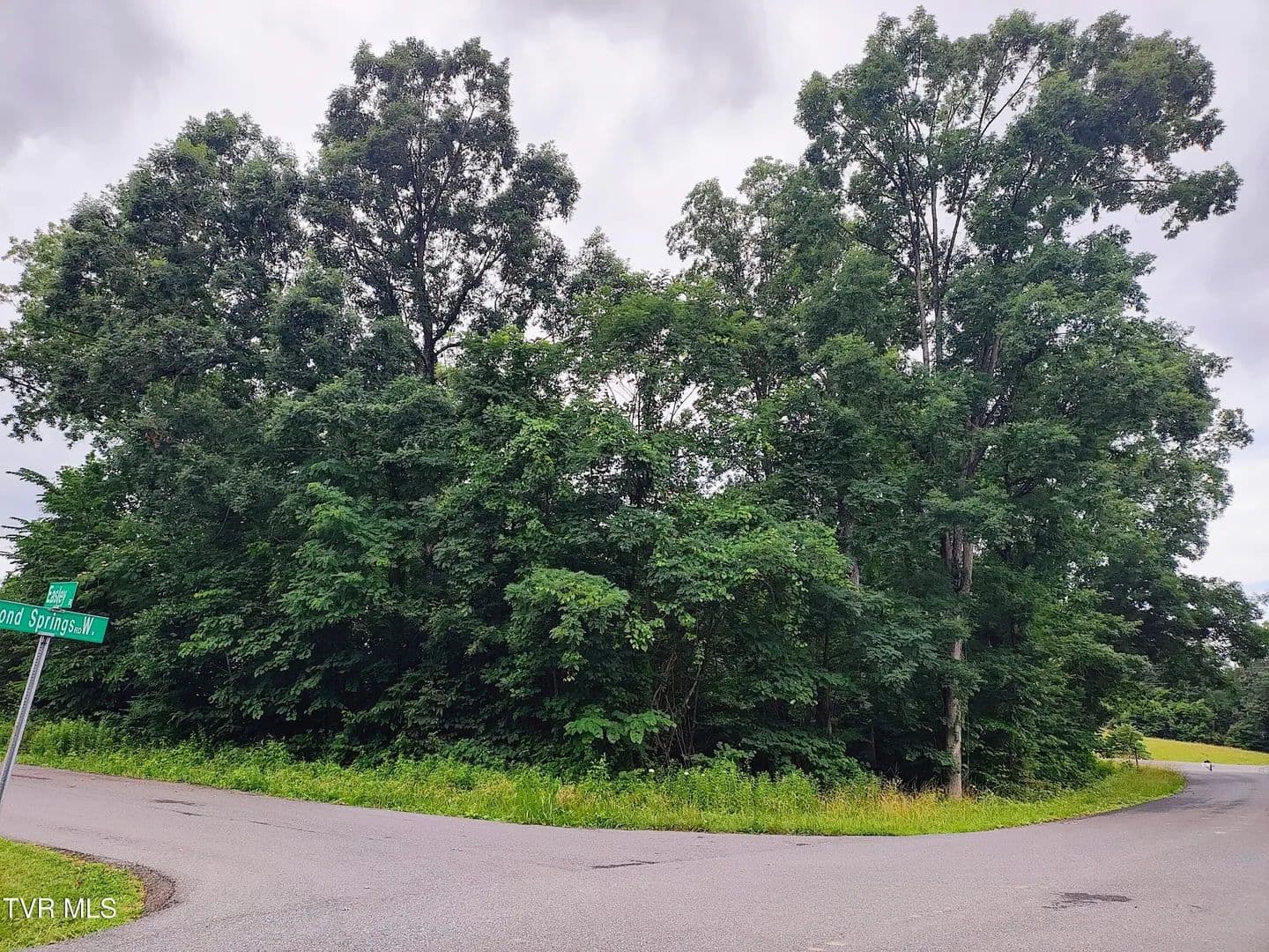 Vacant Land in Kingsport - Kingsport, Tennessee, 37664