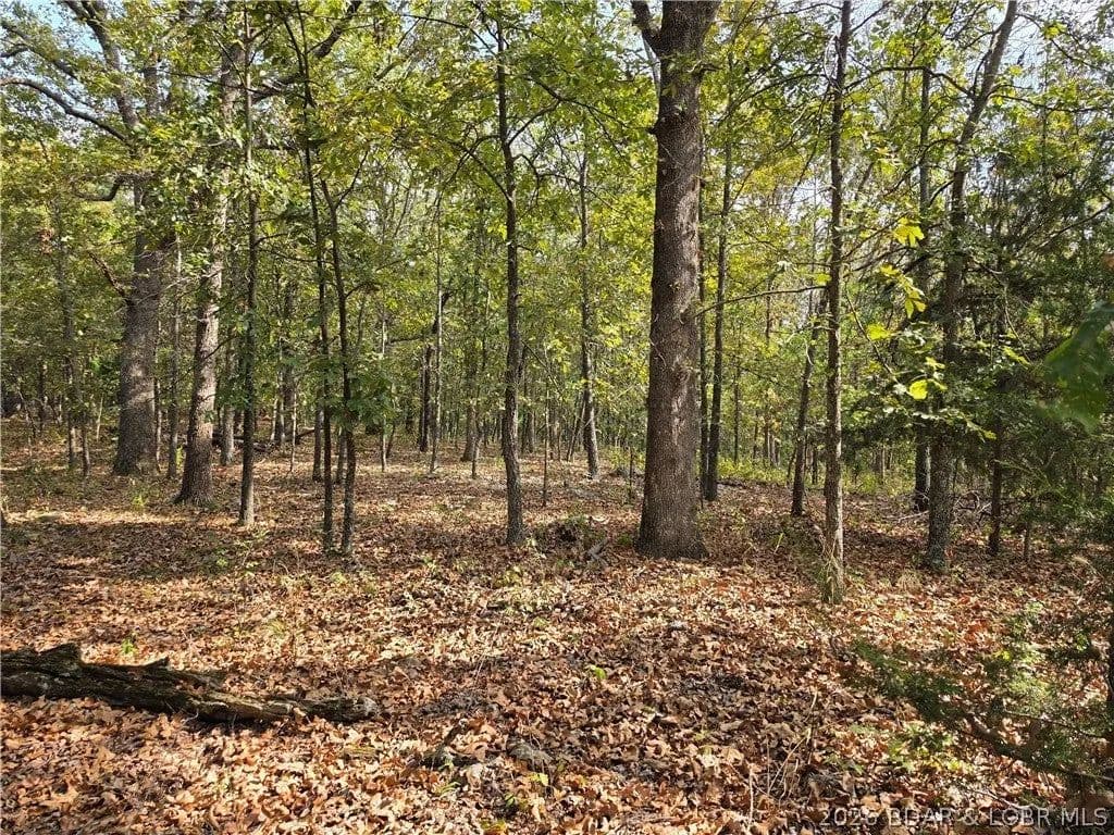 Lots & Land-Other in Edwards - Edwards, Missouri, 65326