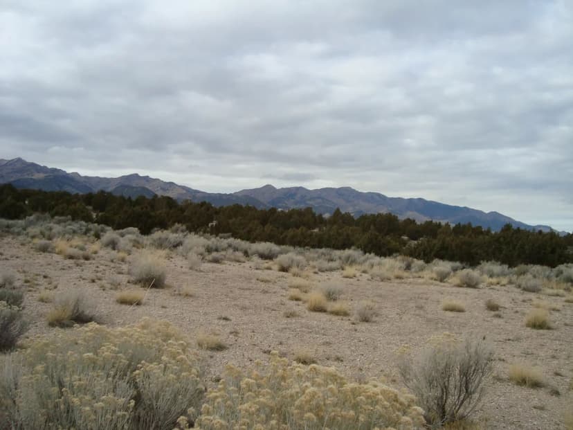 Grantsville Area Recreational Acreage!