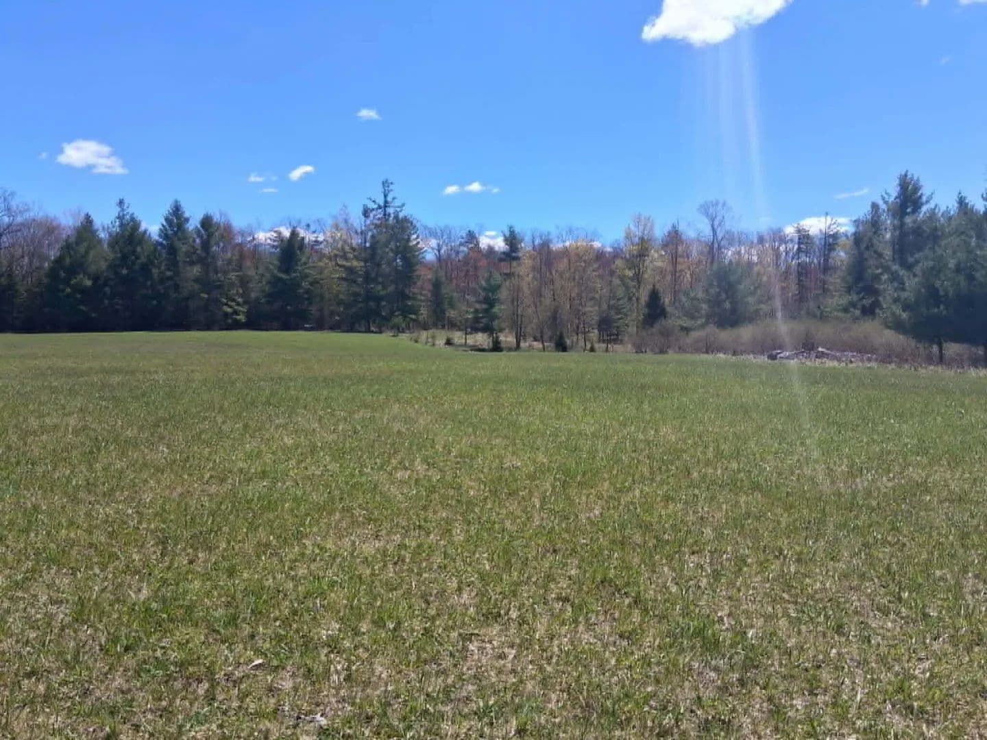 Property from 26.21 AC Crowell Road - KW - Curran, Michigan, 48728