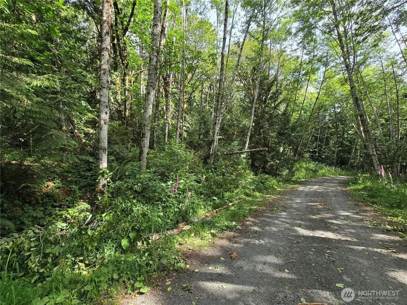 Lots & Land-Other in Lilliwaup