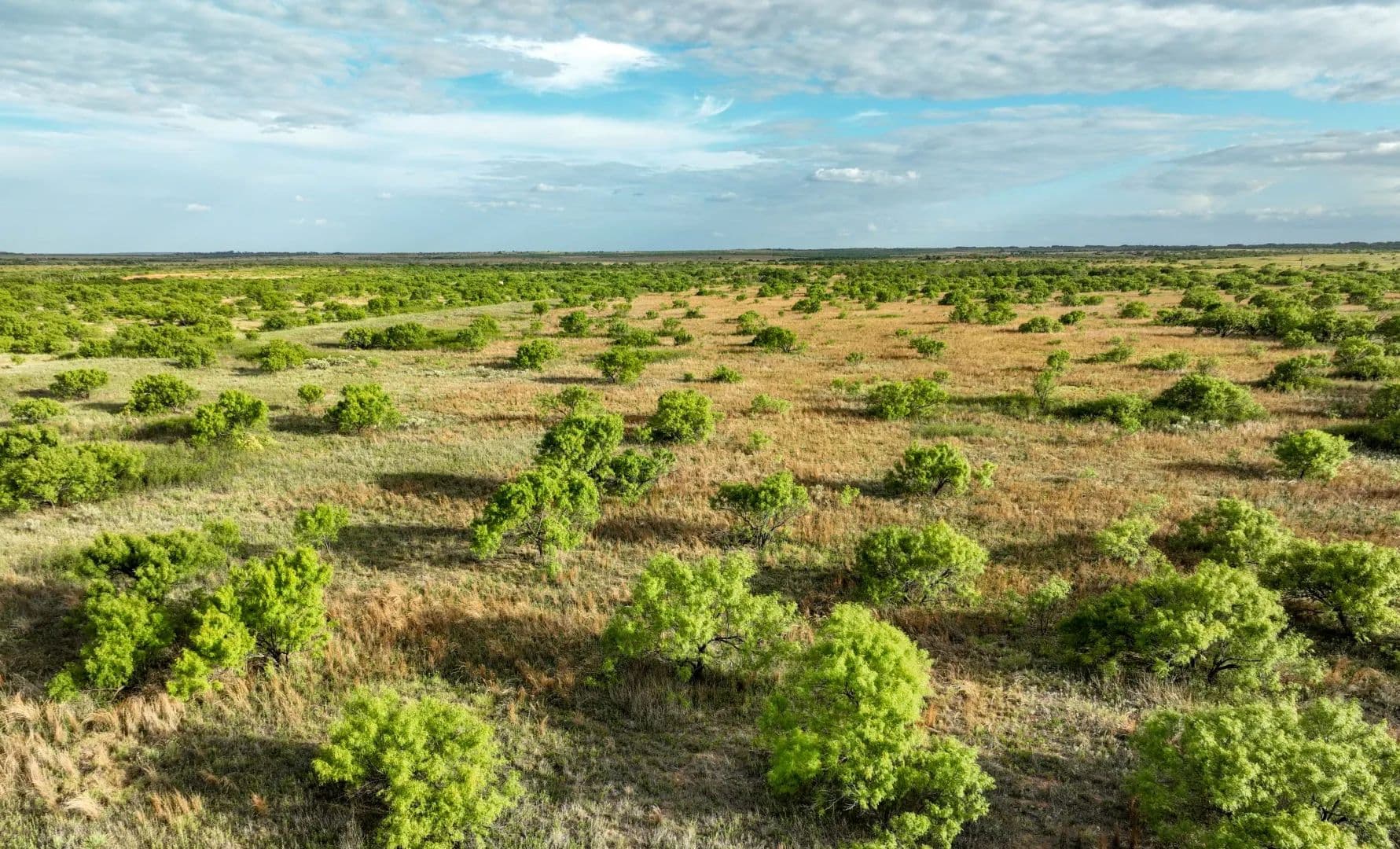 South Draw Ranch - Paducah, Texas, 79248