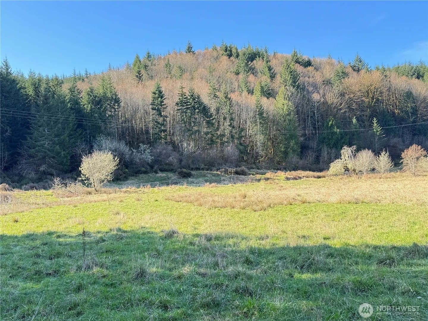 Land -Single Family Acreage in Chehalis - Chehalis, Washington, 98532