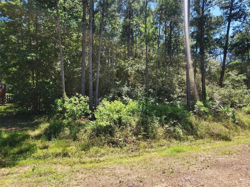 Property from Lot 3 Coral Bean Lane - KW