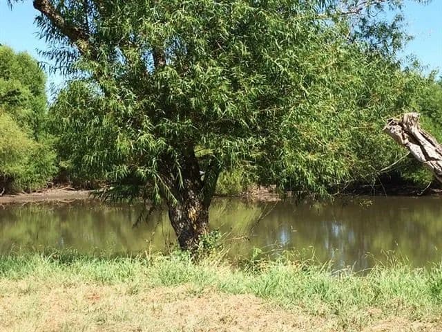 Property from 6008 Fm 2642 - KW - 75189