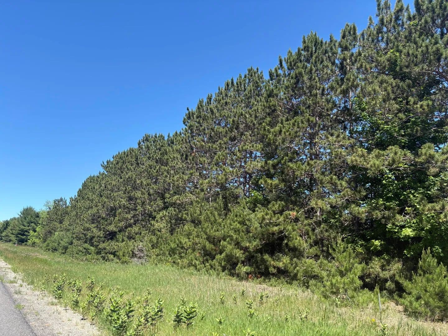Vacant Land in Bear Lake - Bear Lake, Michigan, 49614