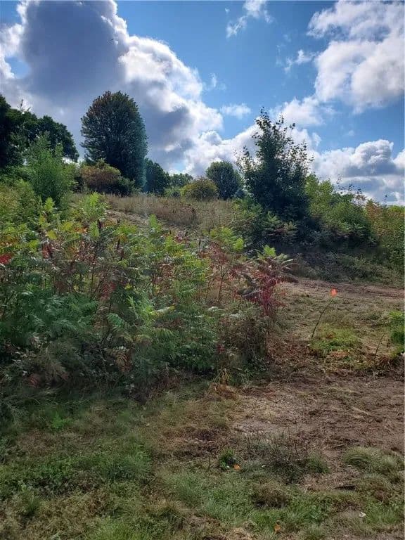 Vacant Land in Chippewa Falls