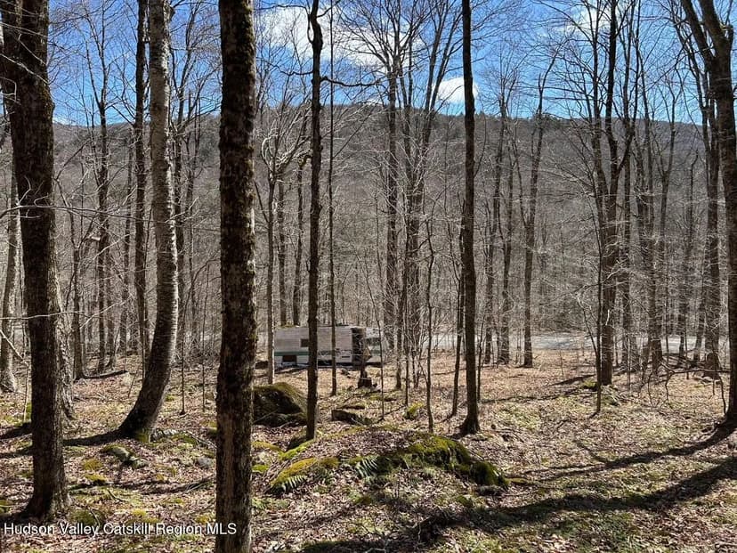 Vacant Land in Claryville