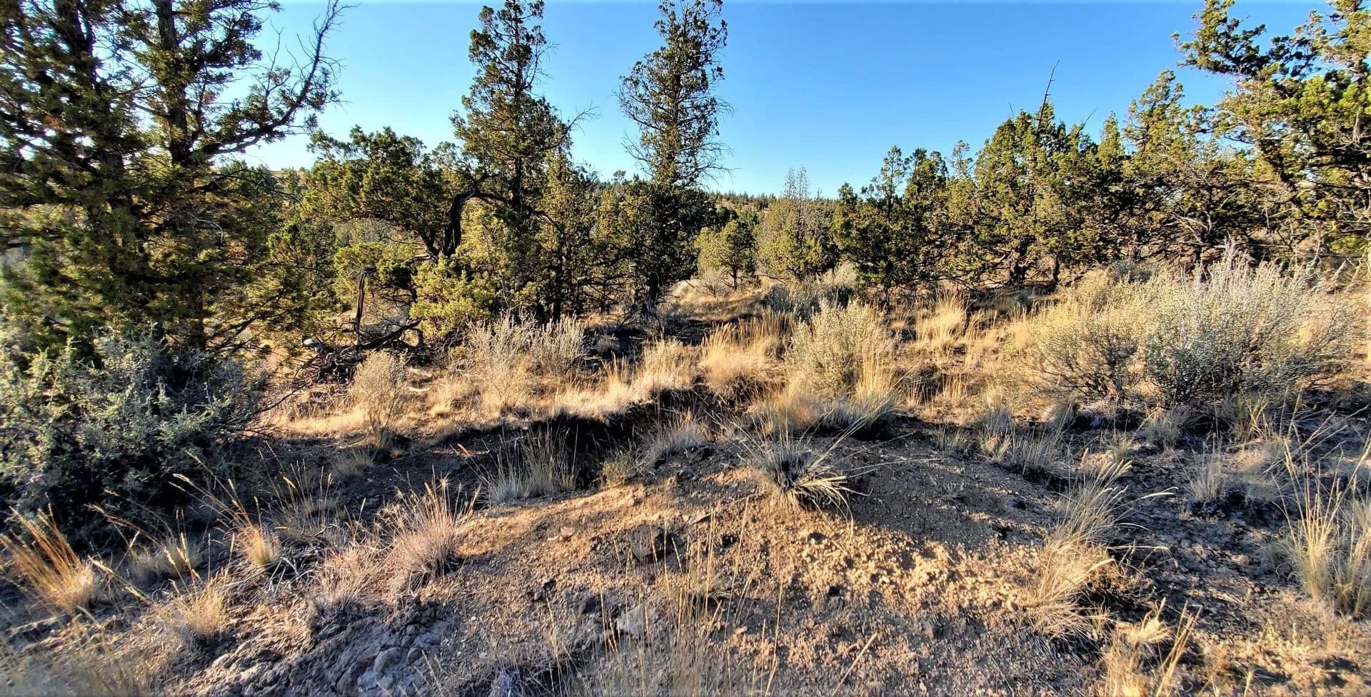 Land -Single Family Acreage in Prineville - Prineville, Oregon, 97754