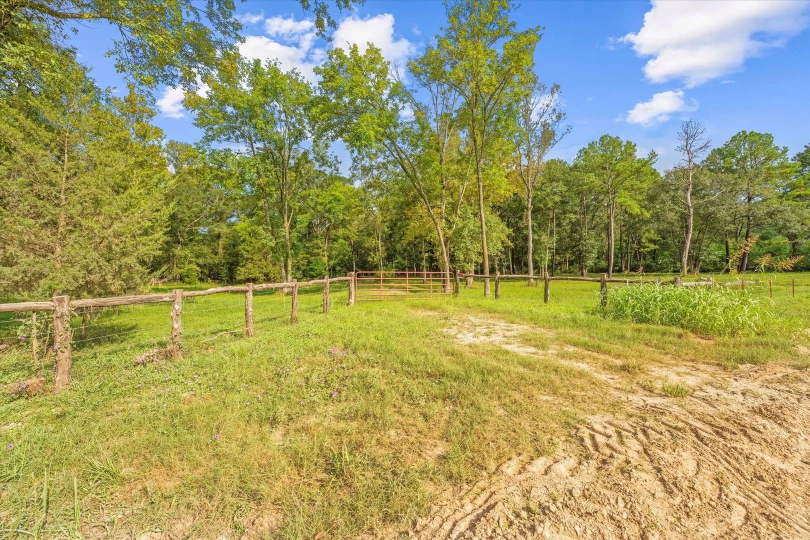 8.01 Acres of Land for Sale in New Waverly, Texas - New Waverly, Texas, 77358