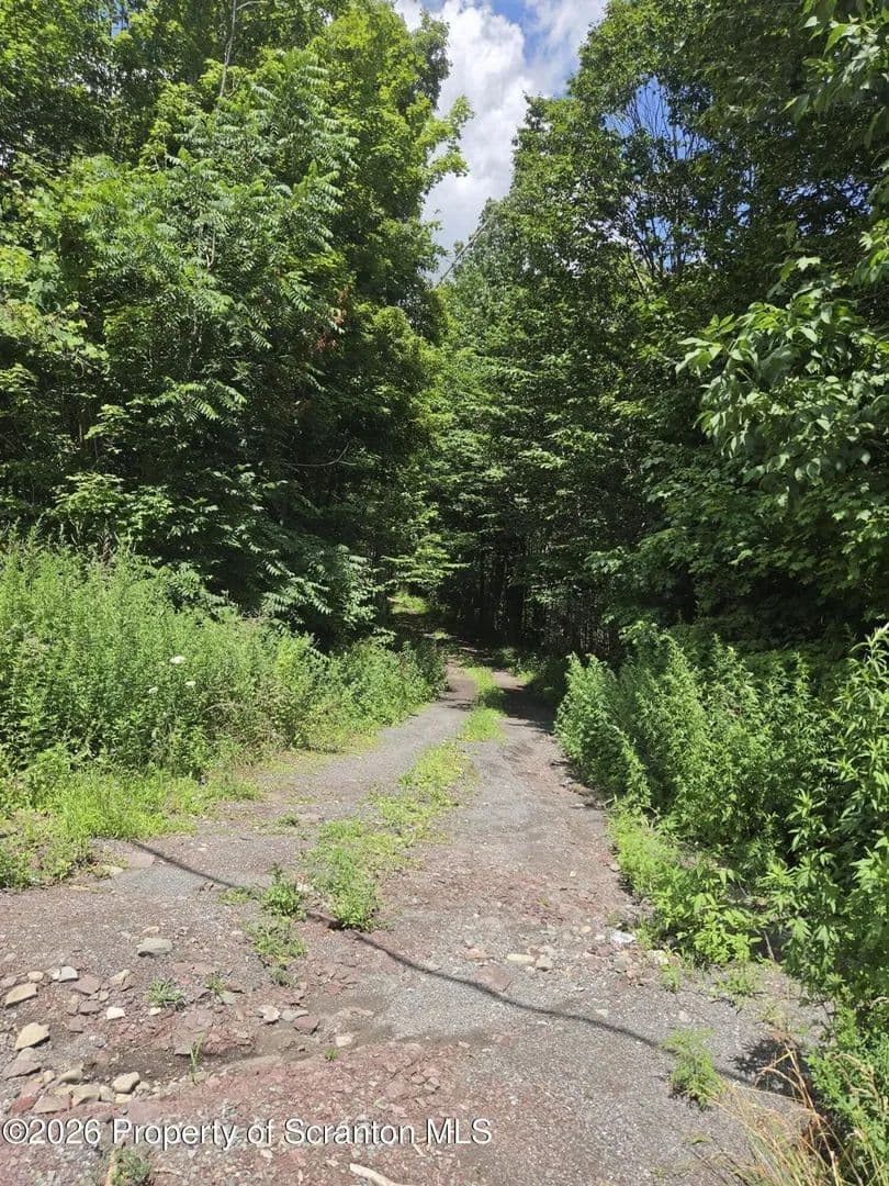 Lots & Land-Other in Covington Twp - Pennsylvania, 18444