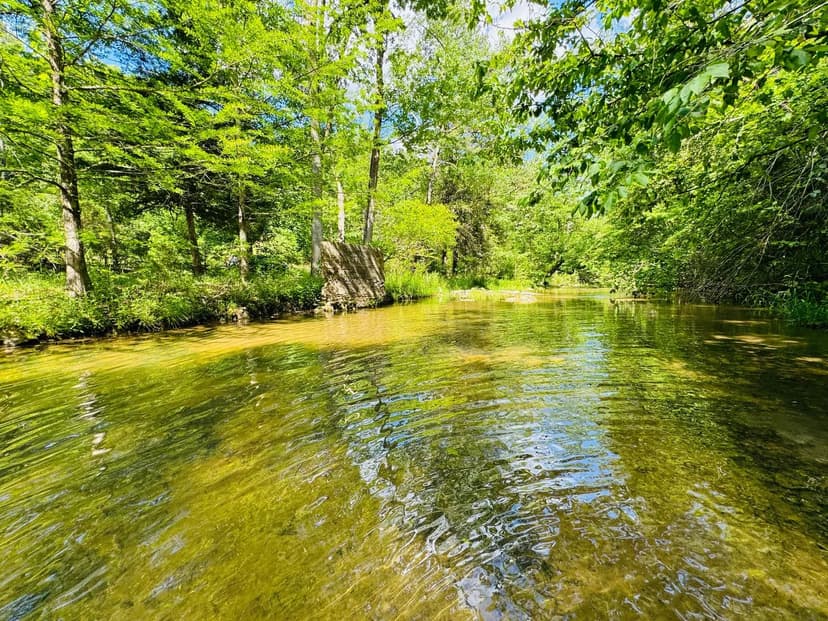Vacant Land in Calico Rock