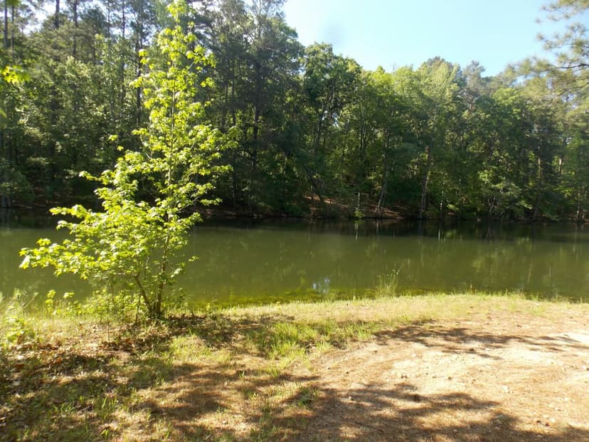 Lots & Land-Other in Lincolnton