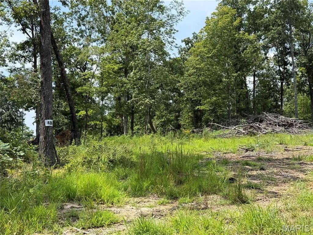 Lots & Land-Other in Fredericktown - Fredericktown, Missouri, 63645