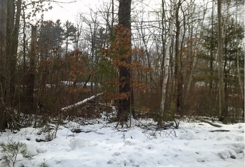 Vacant Land in Derry