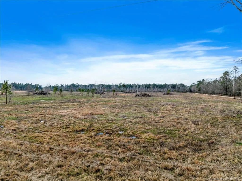 Lots & Land-Other in Longville - Longville, Louisiana, 70652