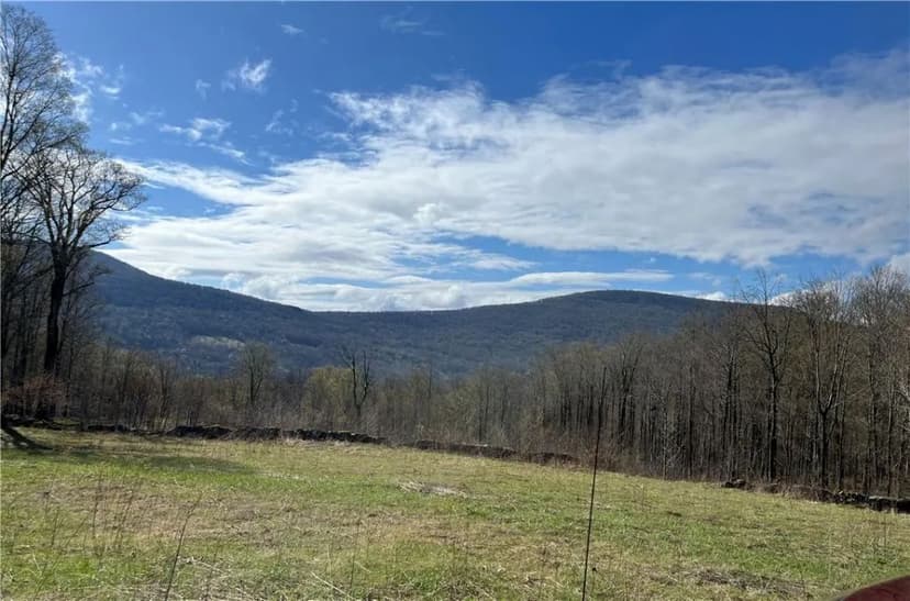 Land -Single Family Acreage in Roxbury