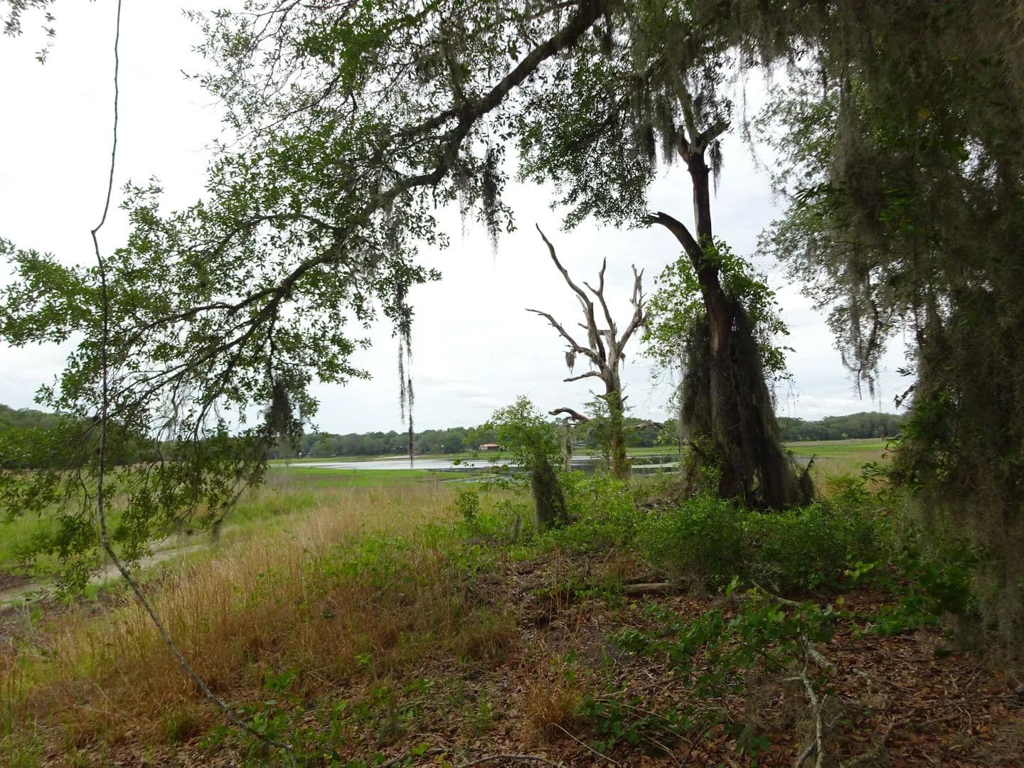 0.64 Acres of Land for Sale in Dunnellon, FL - Dunnellon, Florida, 34431