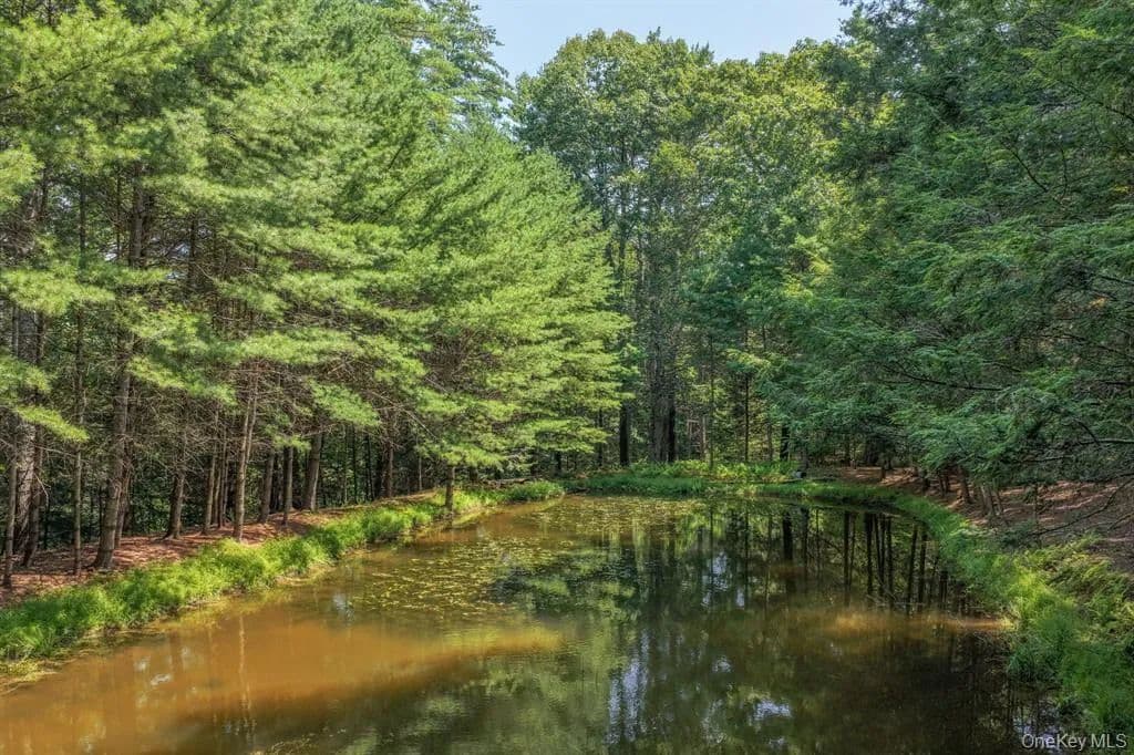 Vacant Land (10+ Acres) in Glen Spey - Glen Spey, New York, 12737