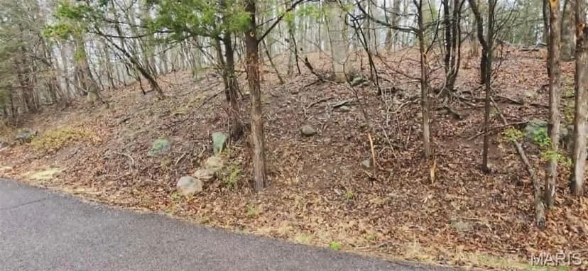 Vacant Land in Marthasville