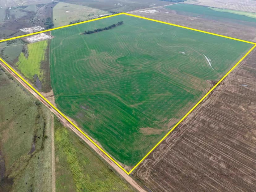 160± Acres Prime Farmland, Cultivation & more!