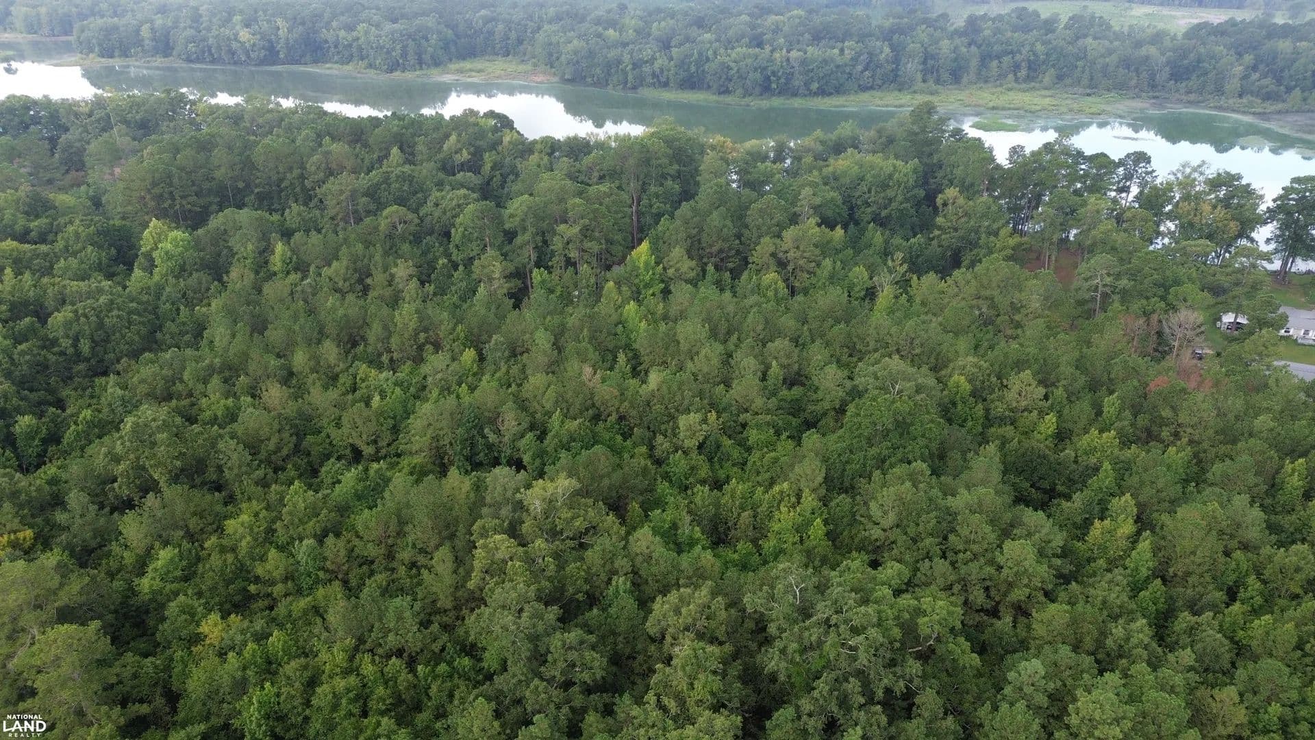Lake Marion Acreage - Taw Caw - Summerton, South Carolina, 29148